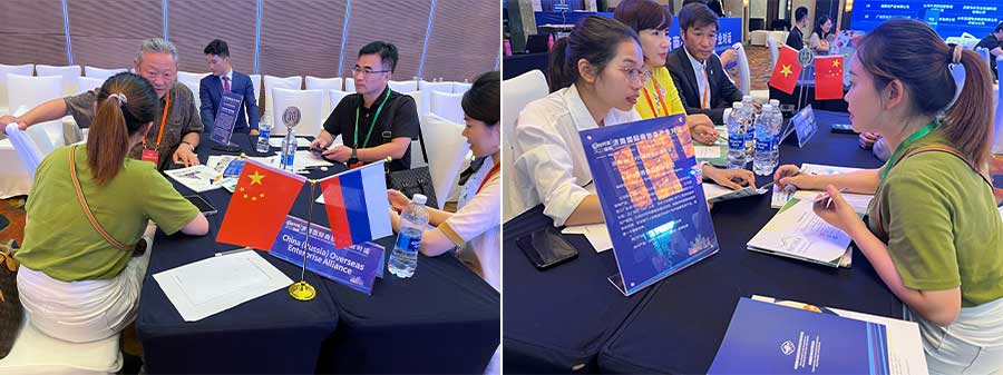 RCEP洽谈会.jpg
